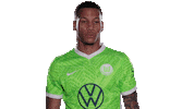 Football Love Sticker by VfL Wolfsburg