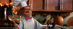 chef muppets GIF by Eloise Eaton