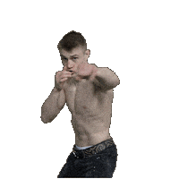 Mma Leo Sticker by Sportegy Athletes