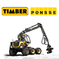 Scorpion Sticker by Timber