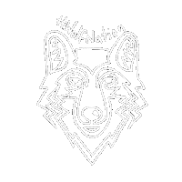 Bvaa Sticker