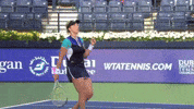 Celebrate Anastasia Pavlyuchenkova GIF