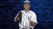 Upper Iowa GIF by UIUPeacocks