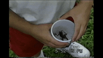 lizard windmill GIF by RETROFUNK