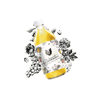 Bear Quitte Sticker by Bärnstein