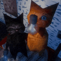 led3an cat wtf surprise night GIF