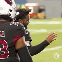 Football Week 11 GIF by NFL