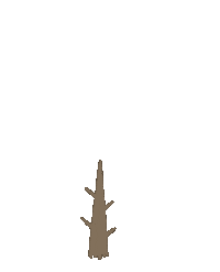 Winter Tree Sticker by Сойкин след