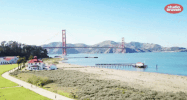 california love vrt nu GIF by Studio Brussel