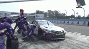 Watkins Glen Sport GIF by NASCAR