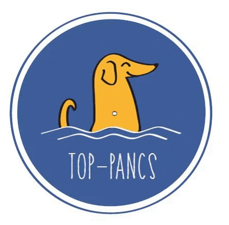 top-pancs giphygifmaker GIF