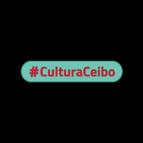 Culturaceibo GIF by Ceibo Digital