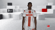 Posing Line Up GIF by Bundesliga