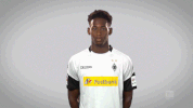 football soccer GIF by Bundesliga