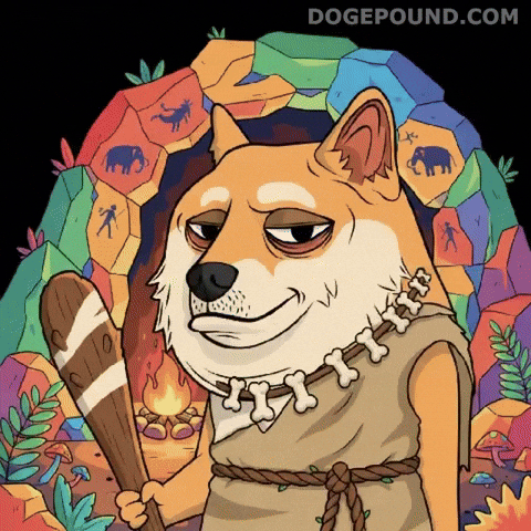 Shiba Inu Deal With It GIF by Doge Pound