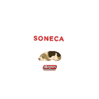 Dog Sono Sticker by Adimax Pet