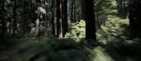 return of the jedi episode 6 GIF by Star Wars