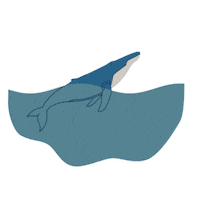 Water Ocean Sticker by Tourism Vancouver Island