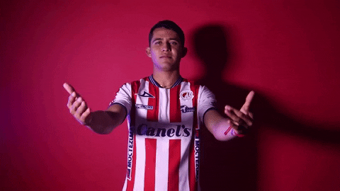 Sanluis Adsl GIF by Atlético de San Luis