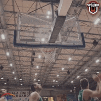 Spojnia Stargard Basketball GIF by Kacper Salamon Fotografia