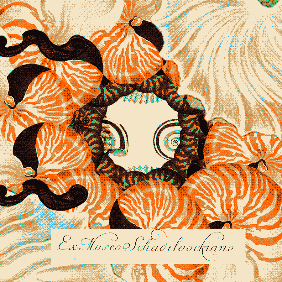 You_jin animation circle glas2022 seashells GIF