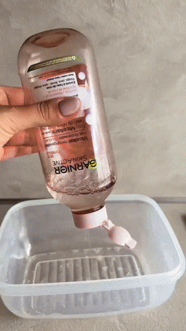 eddierchaverra giphyupload GIF