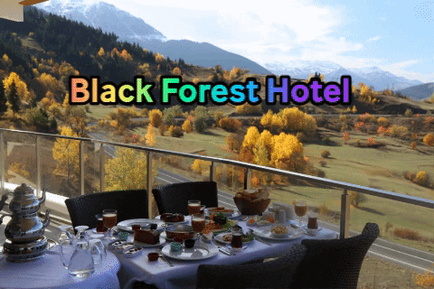 BlackForestHotel giphygifmaker hotel motel otel GIF
