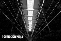 Prison Jail GIF by Formación Ninja