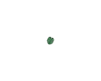 Plants Garden Sticker by Simple Lawn Solutions