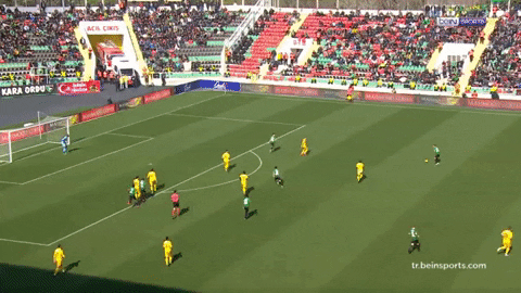 highansol93 giphyupload GIF