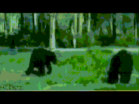 bear coward GIF