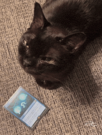 Angry Magic The Gathering GIF by Respective