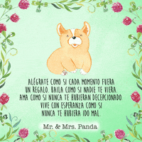 Corgi Optimista GIF by Mr. & Mrs. Panda
