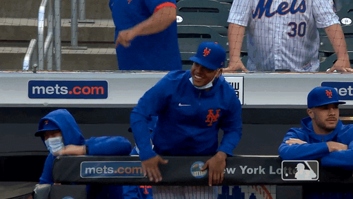 Happy Ny Mets GIF by New York Mets