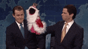 Trump GIF by Saturday Night Live