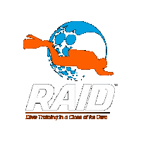 DiveRaid  Sticker