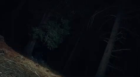 mark duplass GIF by The Orchard Films