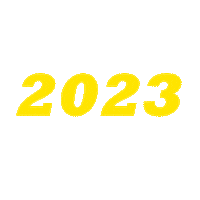 New Year Party Sticker