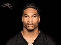 Pittsburgh Steelers GIF by Respective