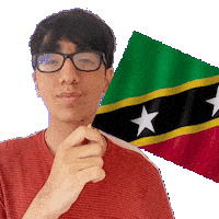 Saint Kitts And Nevis Pride Sticker