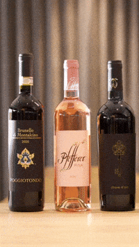 Weinhaus GIF by Pur Südtirol
