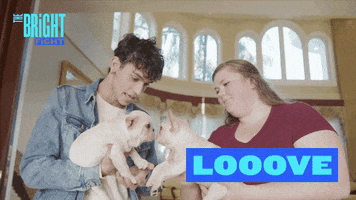 french bulldog love by Dobre Brothers Bright Fight GIF Library
