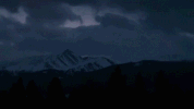 the hearse atlantic GIF by Matt Maeson