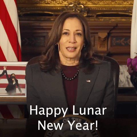 New Year Politics GIF by The Democrats