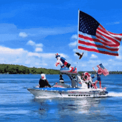 United States Usa GIF by Respective