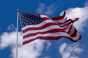 Independence Day Fireworks GIF by Charli Gurl