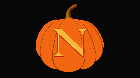 Halloween Nuexperience GIF by Northeastern University