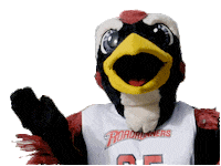 metropolitan state university of denver good job Sticker by Rowdy the Roadrunner