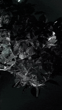 3D Render GIF by time