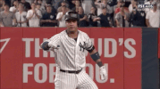 Yankees GIF by Jomboy Media